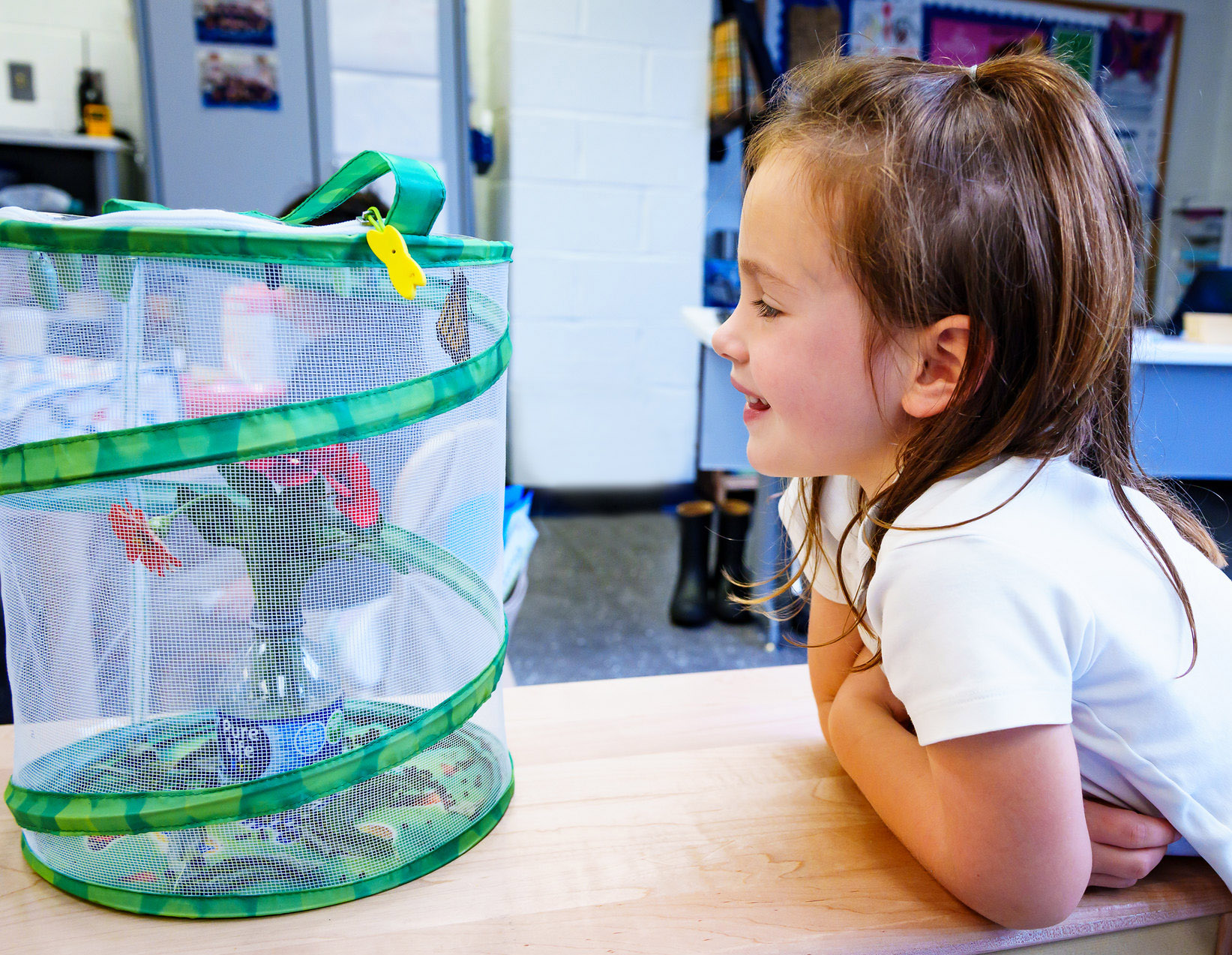 54839512570_2eae92a7d7_k