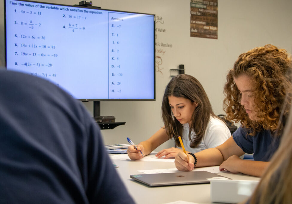 52362497935_928bd918c5_k