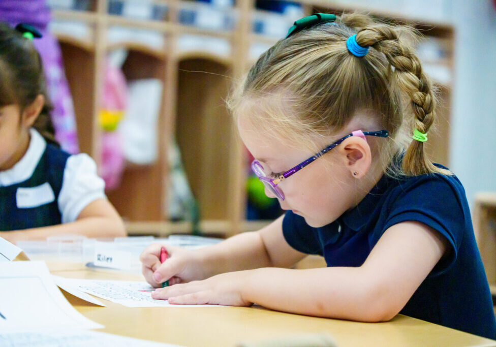 54750236958_9b5ddf42c0_k