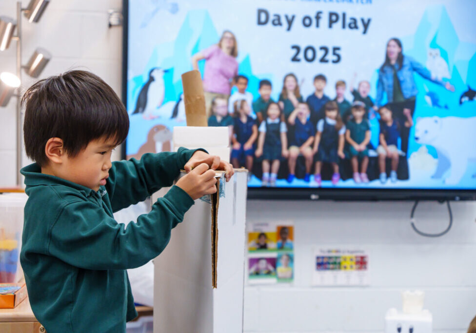 54886094555_96ab3e12f4_k